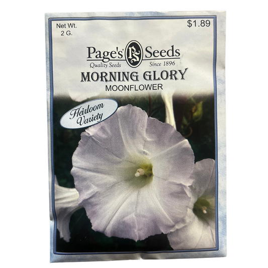 Morning Glory - Moonflower Seeds