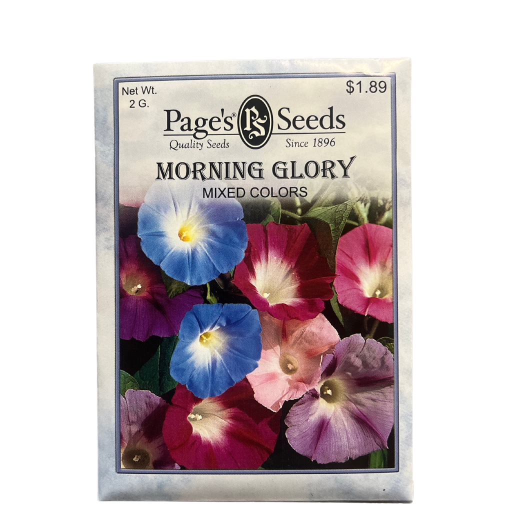 Morning Glory - Mix Colors Seeds