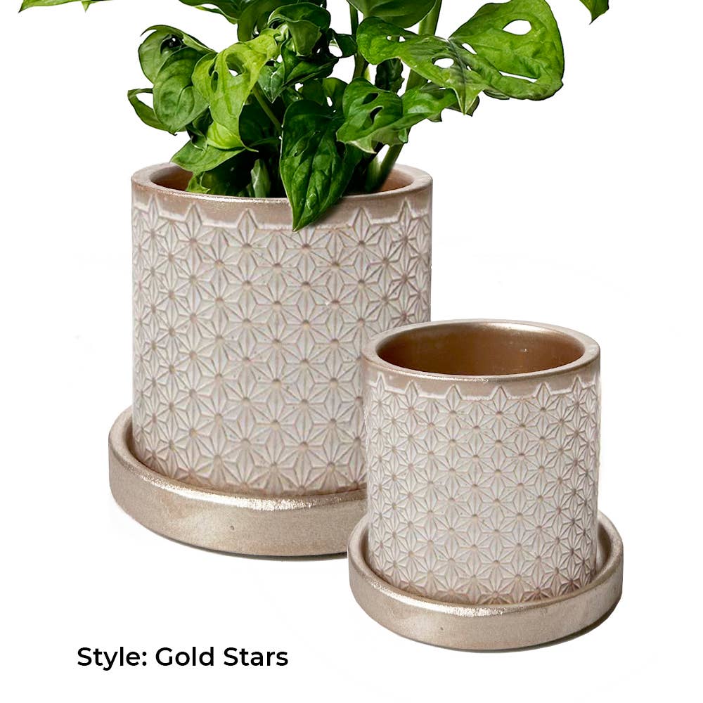 Balter Succulent Containers Cactus Pot And Saucer