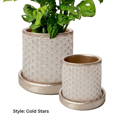 Balter Succulent Containers Cactus Pot And Saucer