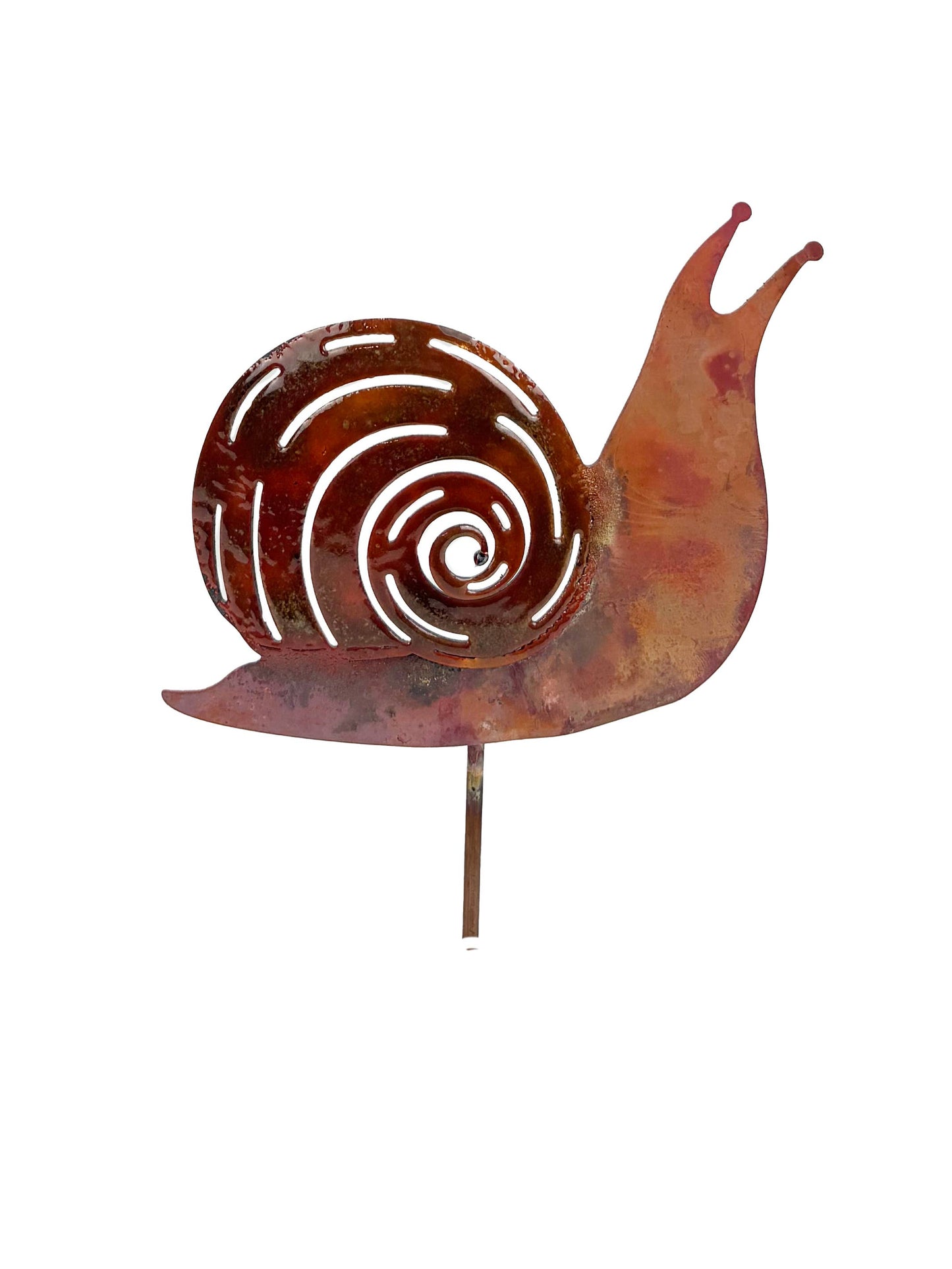 Enamel Snail