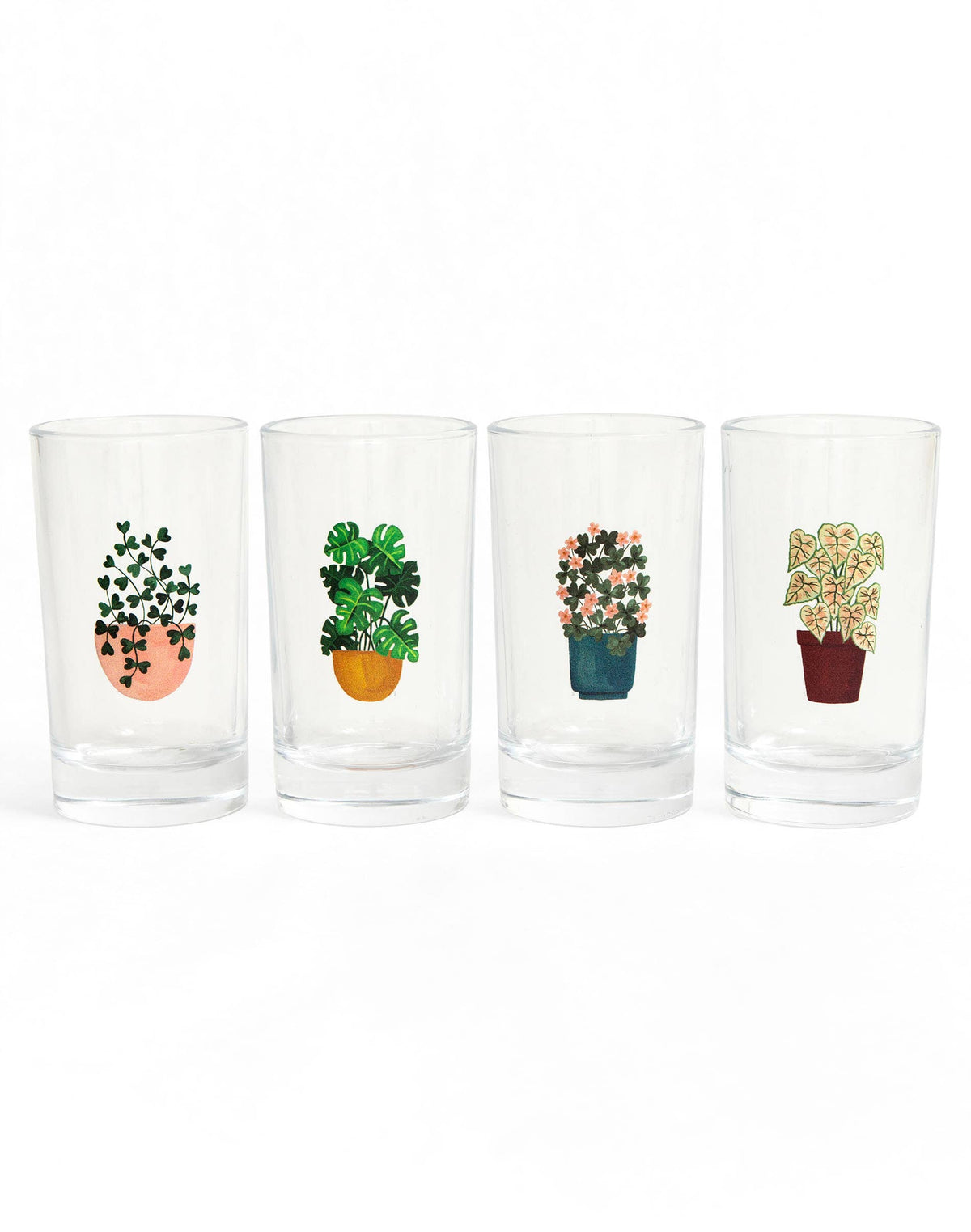 Houseplants 6oz Mini Juice Glass Set