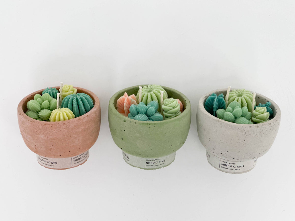 Succulent Candle - Concrete Plant Candle