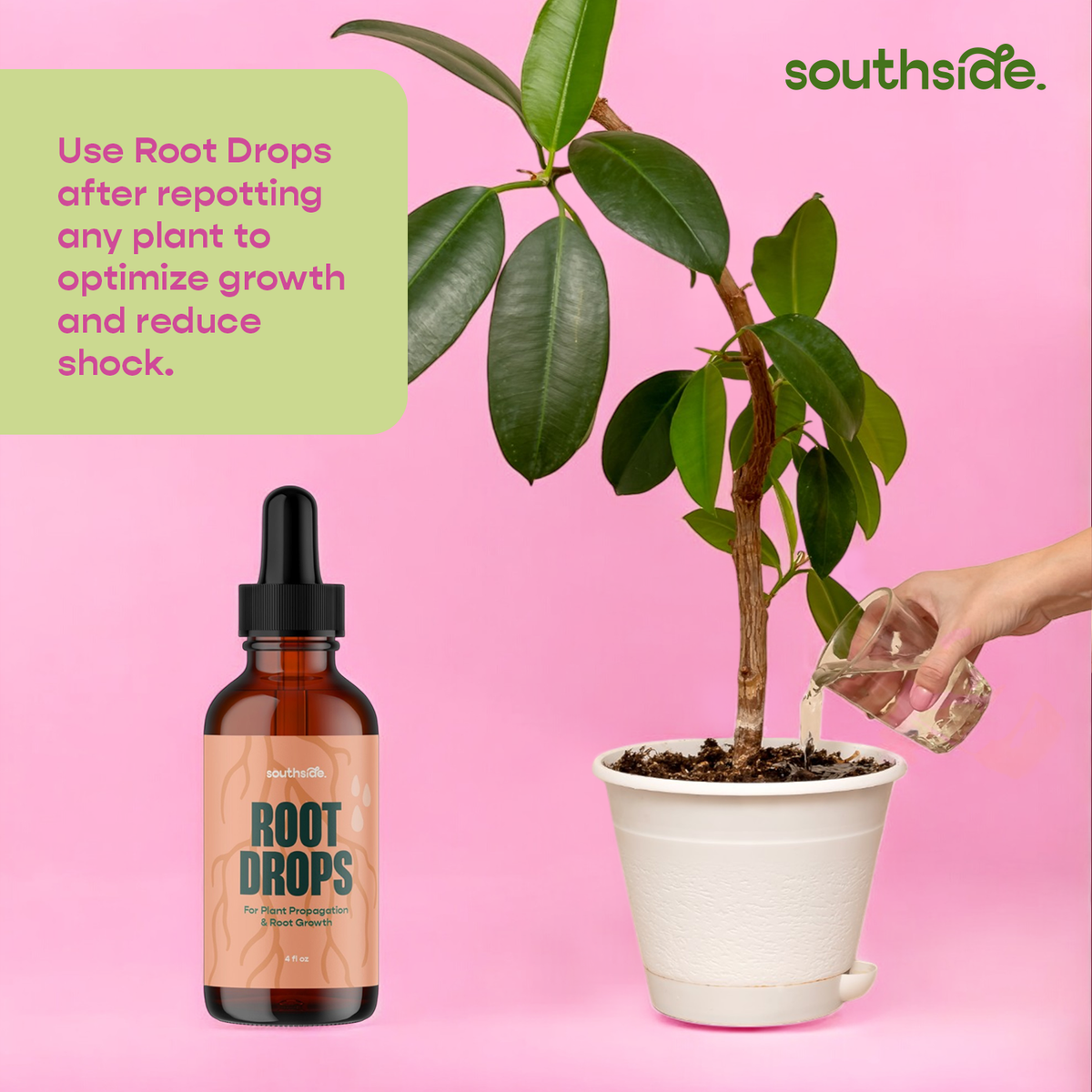 Root Drops - For Propagations & Repotting