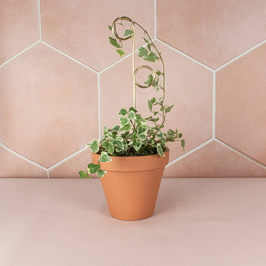 Perch Gold Mini Plant Stake from rust-proof metal