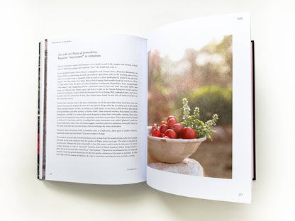 Pomegranates and Artichokes by Saghar Setareh