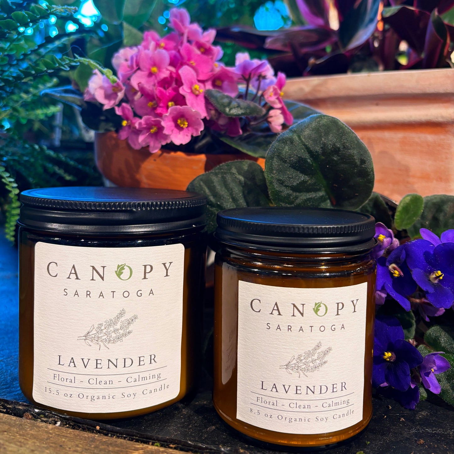 Canopy Candle - Lavender