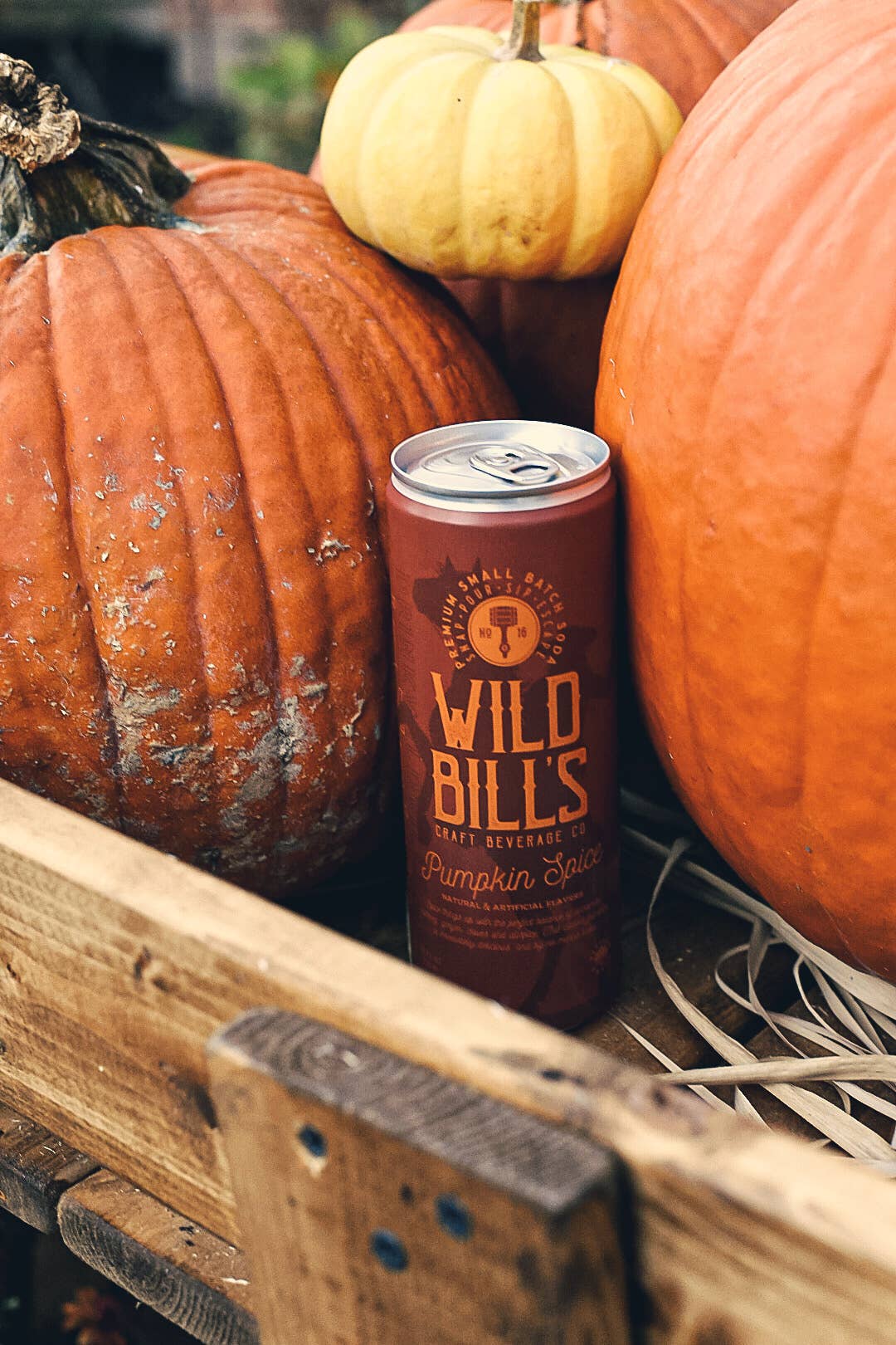 Pumpkin Spice - Premium Cane Sugar Soda