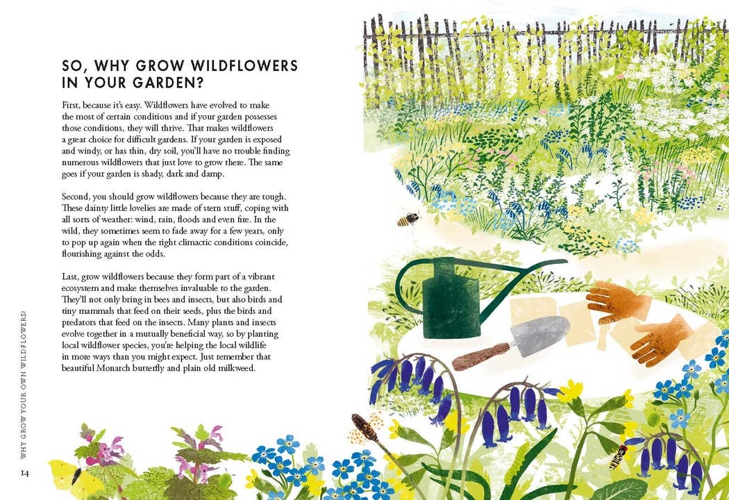 Planting Wildflowers