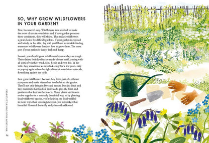 Planting Wildflowers