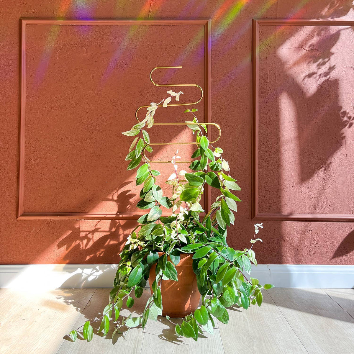 Golden plant stake from metal - Squiggle