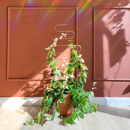 Golden plant stake from metal - Squiggle