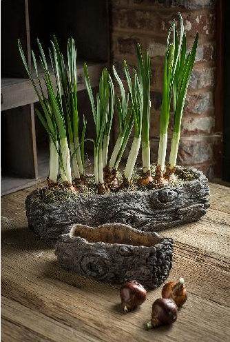 Cement Log Planter