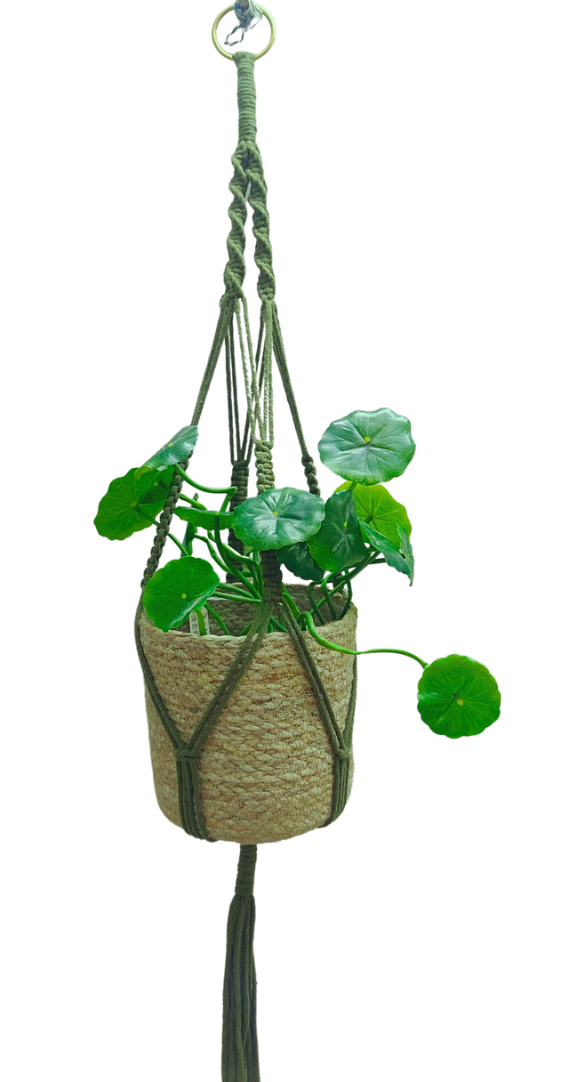 Green Macrame Cotton Hanger (37")