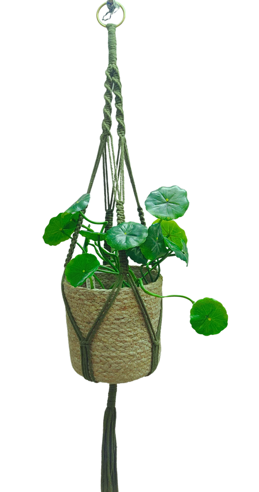 Green Macrame Cotton Hanger (37")