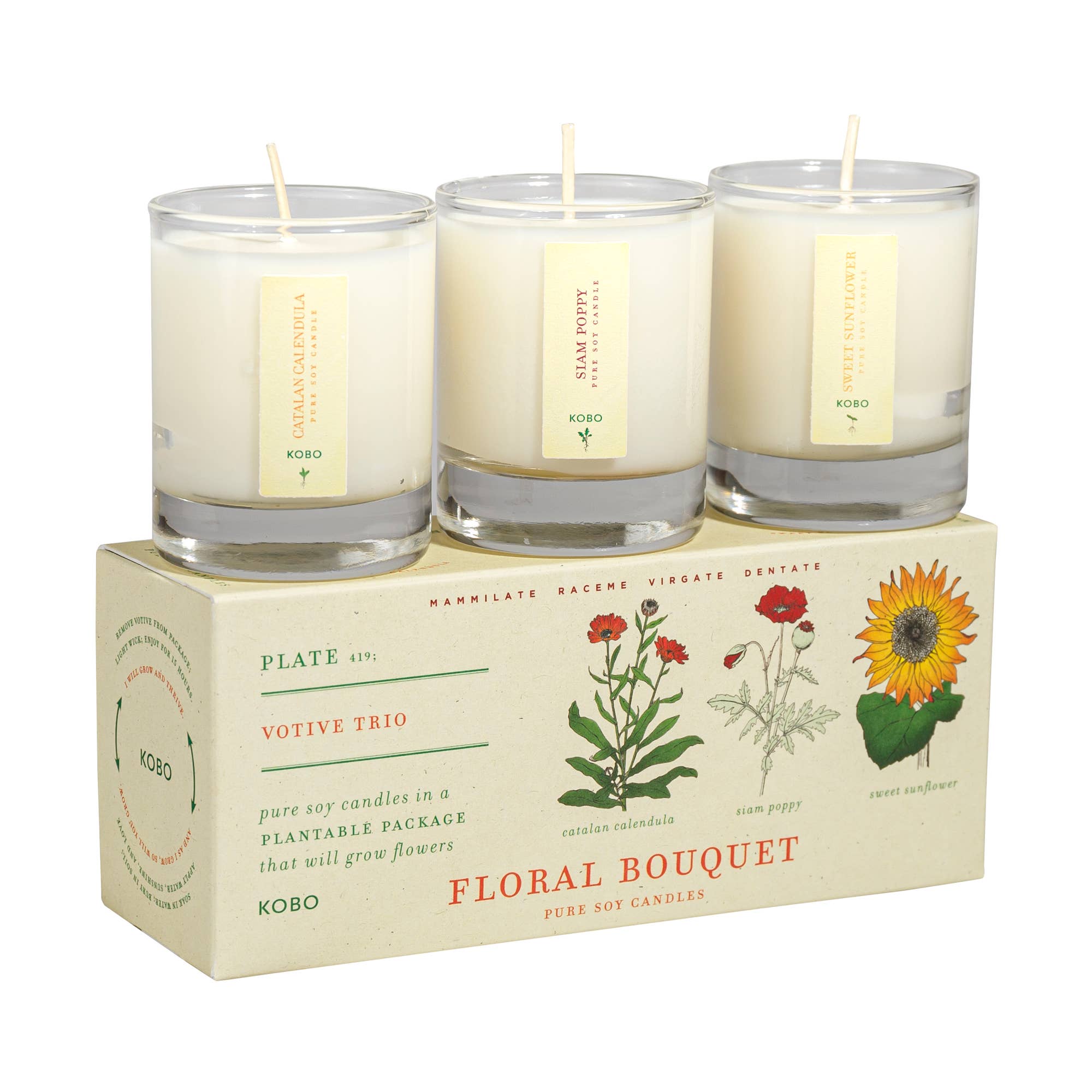 Mandy Spring Farm Nursery Plant the Box Votive Candle