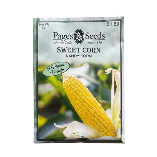 Corn (Sweet) - Kandy Korn Seeds