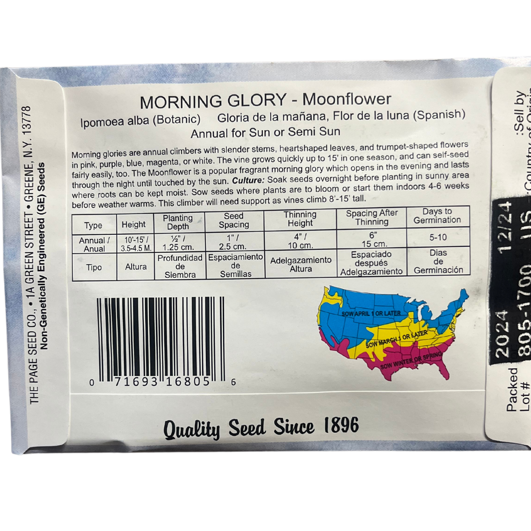 Morning Glory - Moonflower Seeds