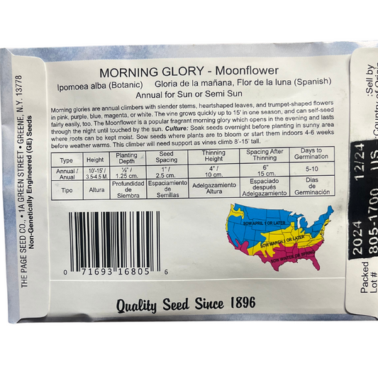 Morning Glory - Moonflower Seeds