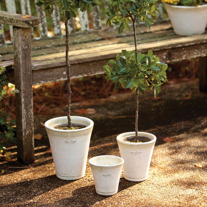 Wakefield Handmade Farnham Long Tom Pot #3 White