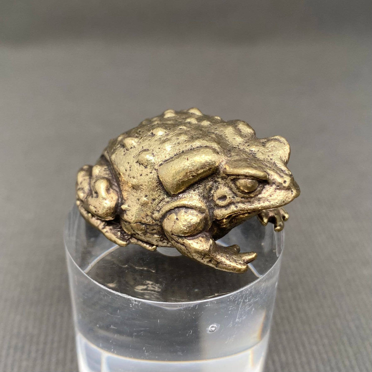 Brass Toad Crafts Decoration Desktop Ornaments