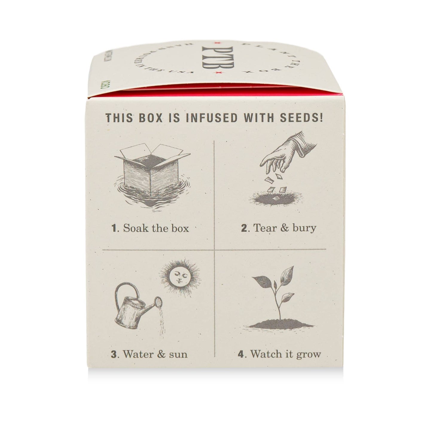 Ripe Watermelon - Plant the Box Candle - 9oz.