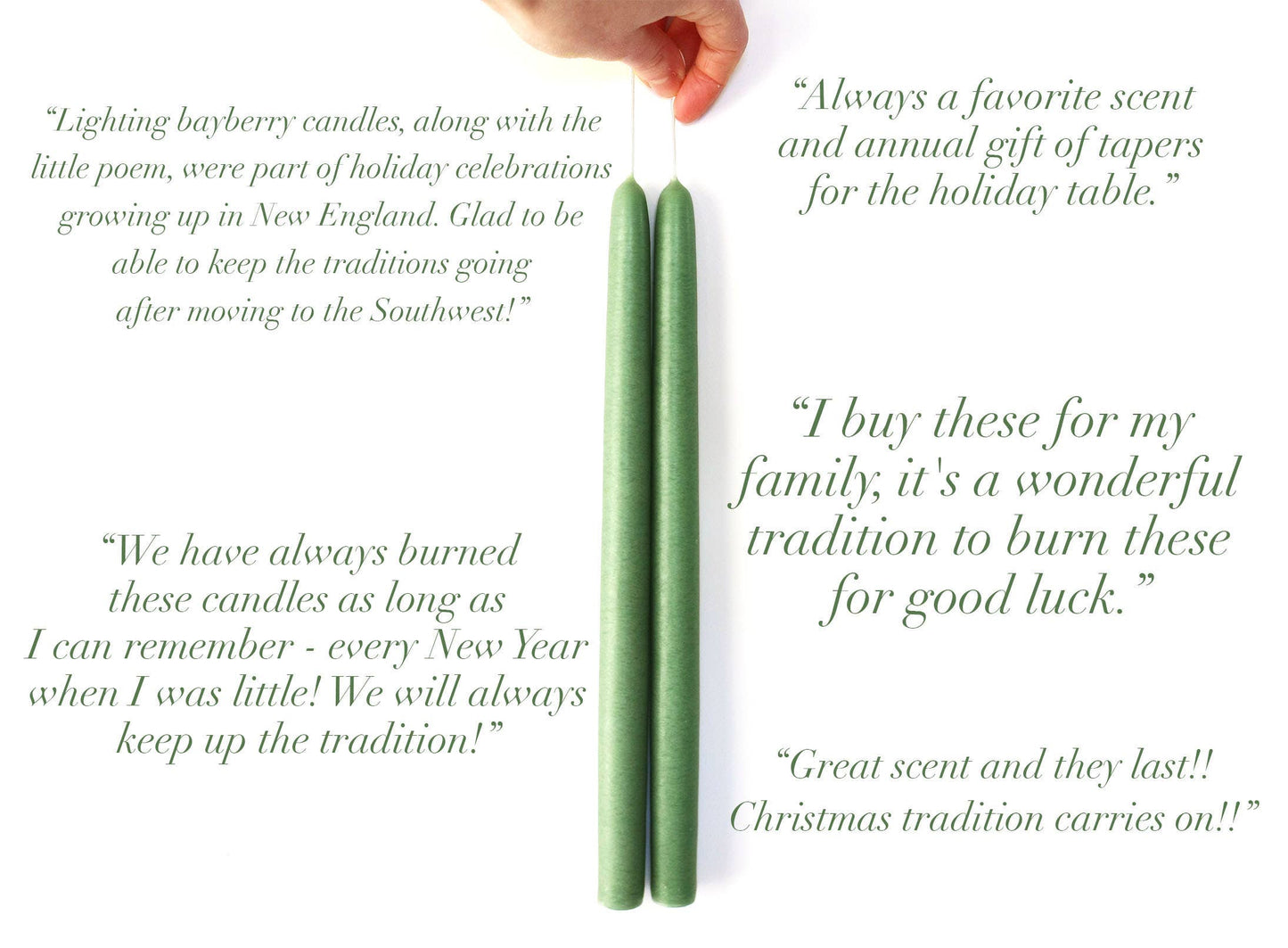 10" Bayberry Scented Taper Candles with Bayberry Legend