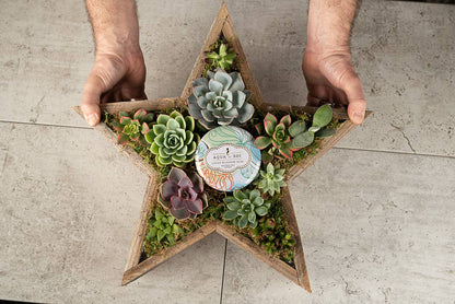 Rustic Star Reclaimed Wood Planter
