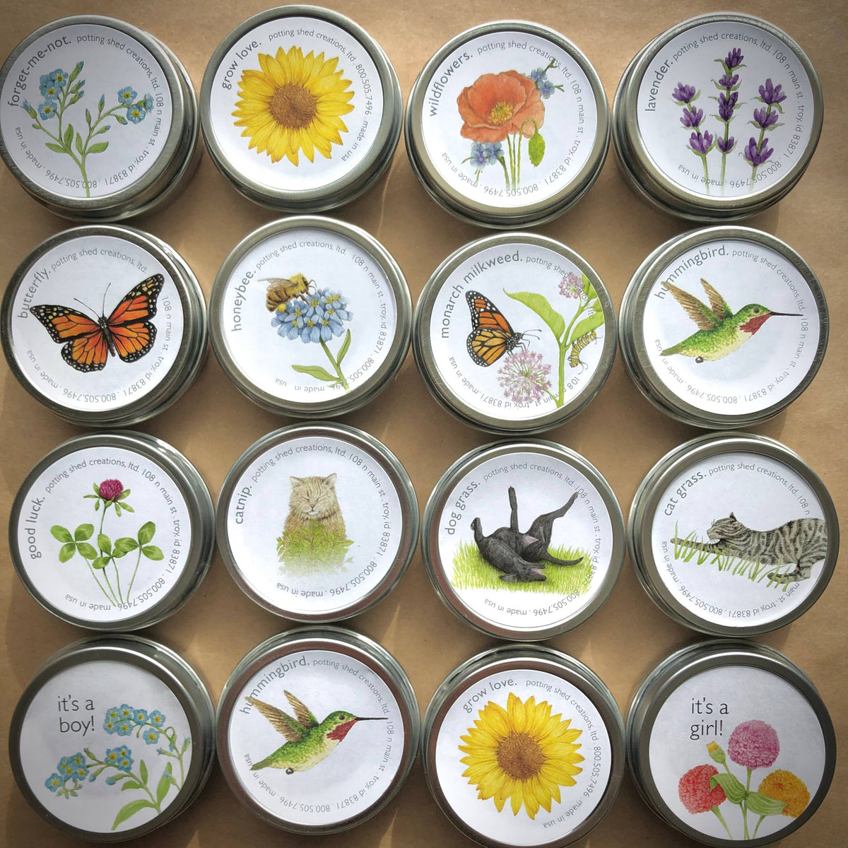 Garden Sprinkles - Grow Love Sunflower