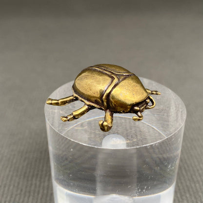 Brass Beetle Crafts Decoration Desktop Ornaments