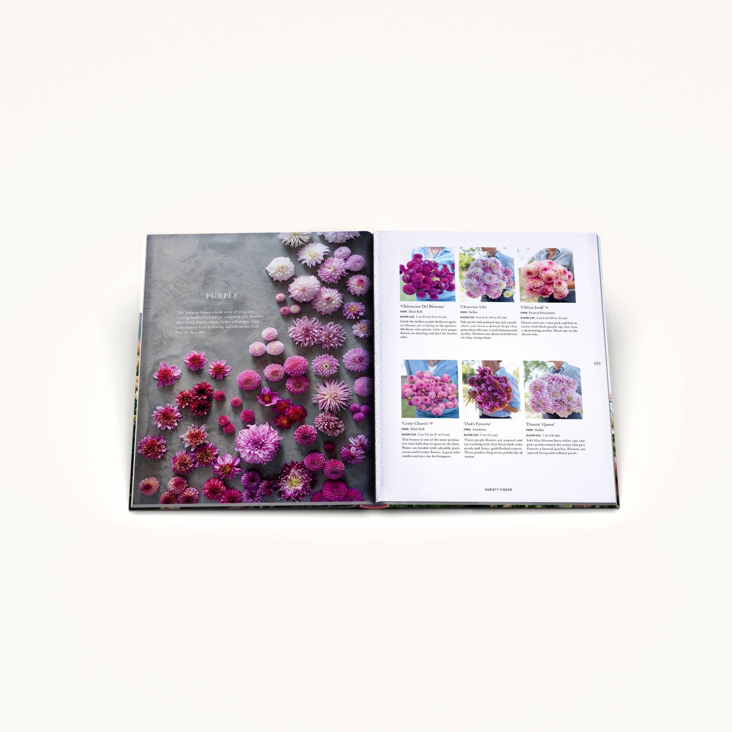 Floret Farm's Discovering Dahlias