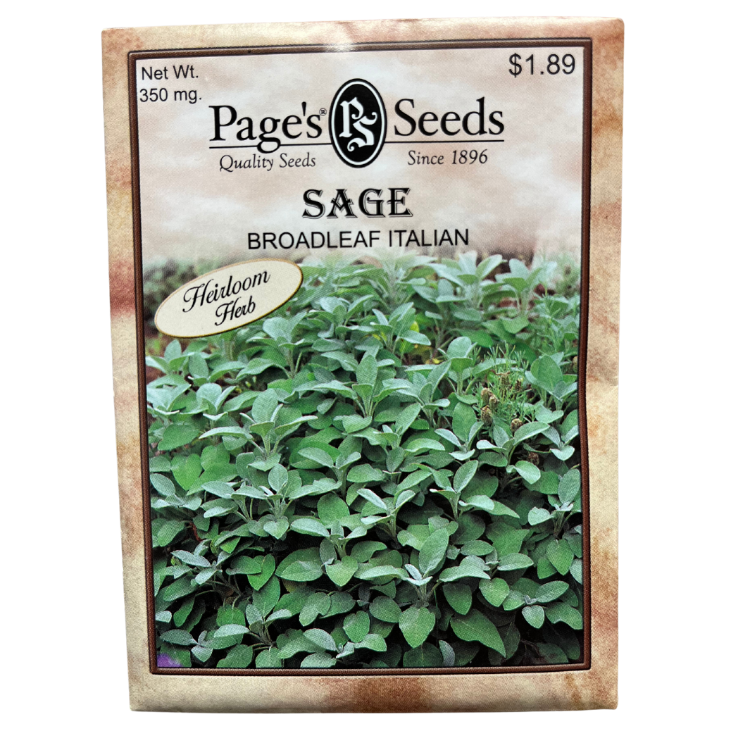 Sage, Broadleaf Herb