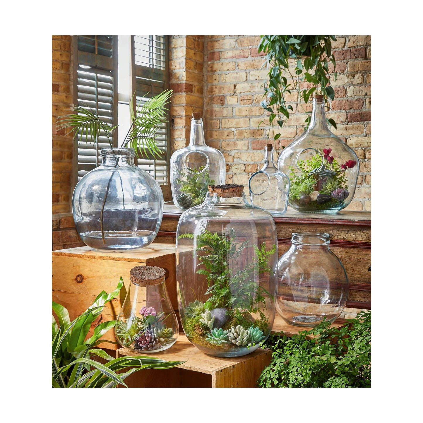 Recycled Glass Terrarium Large Clear Summer