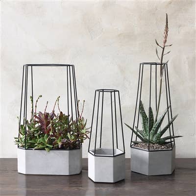 Indio Planter - Sm - Cement