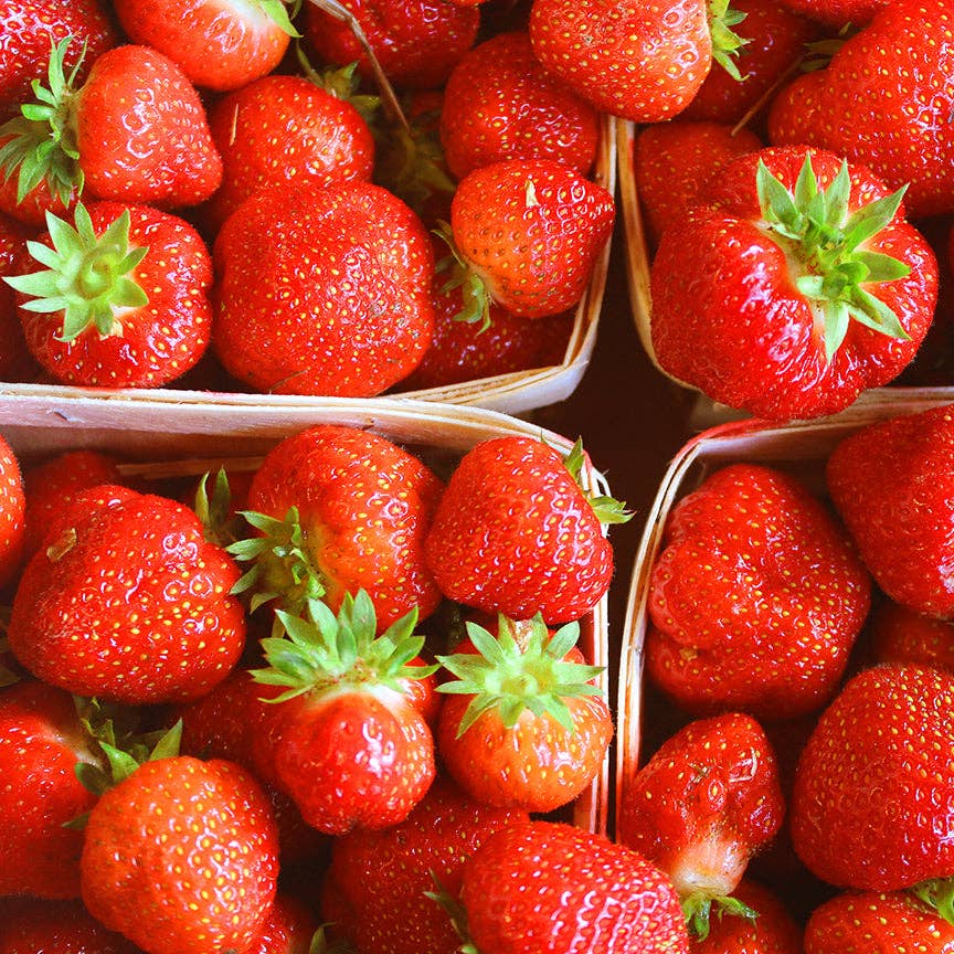 Strawberry with Wild Rose Jam