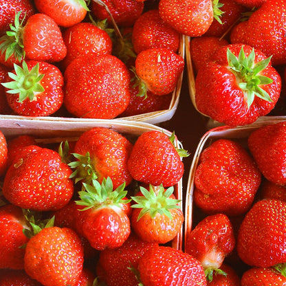 Strawberry with Wild Rose Jam