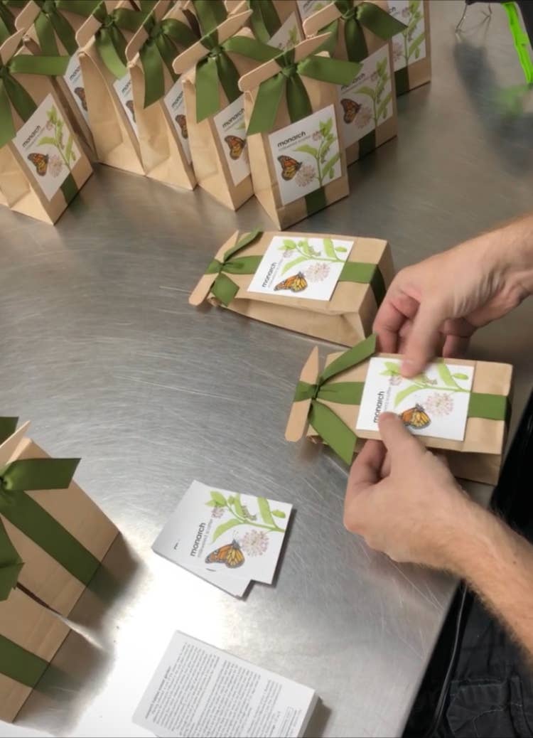 Scatter Garden | Monarch Butterfly Milkweed | Pollinators