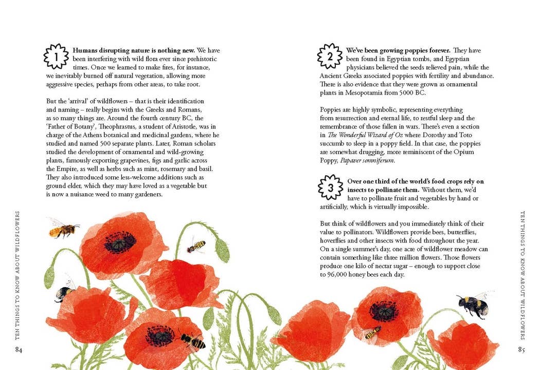 Planting Wildflowers