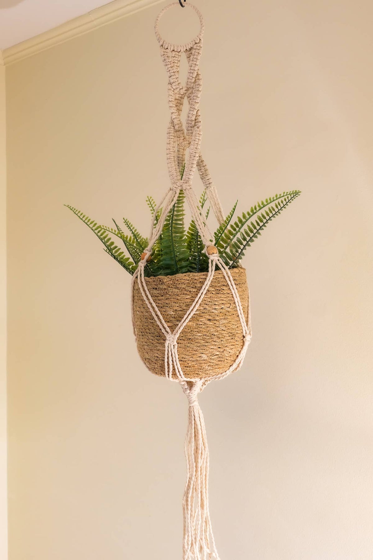 Macrame Cotton Plant Hanger (43inch)