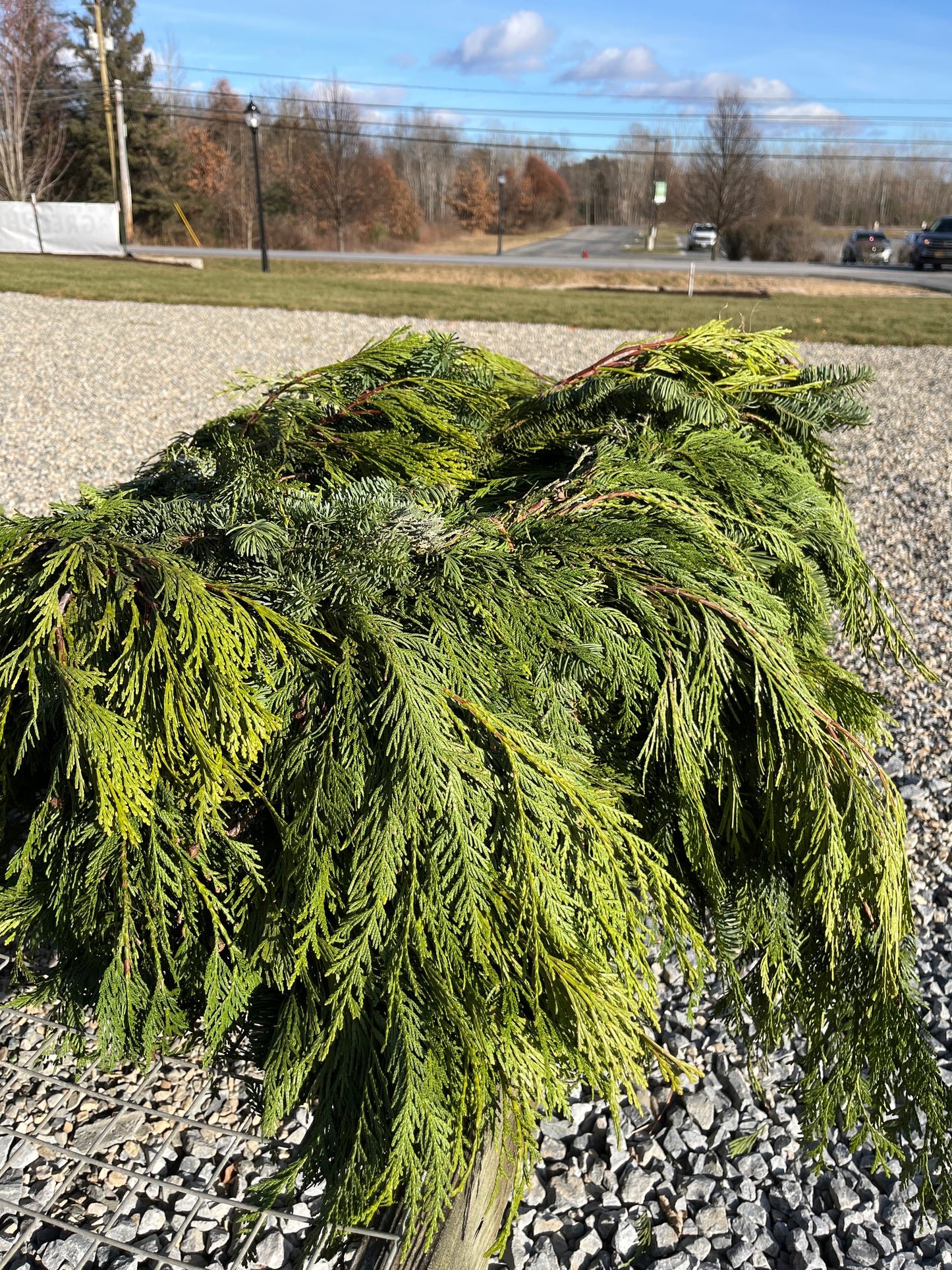 75ft Mixed Christmas Roping