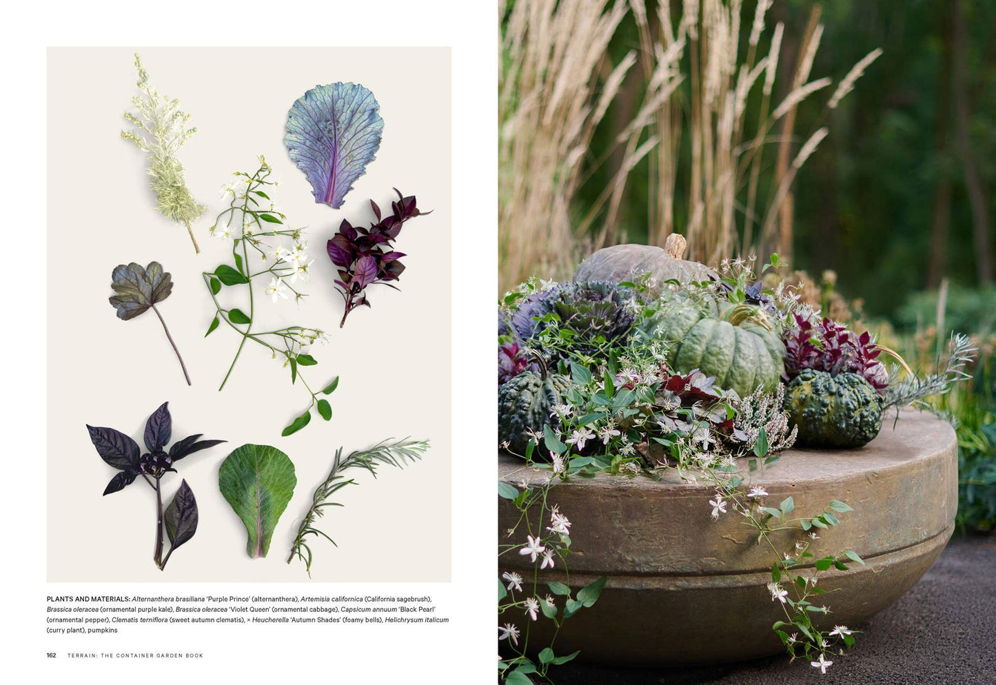 Terrain: The Container Garden Book