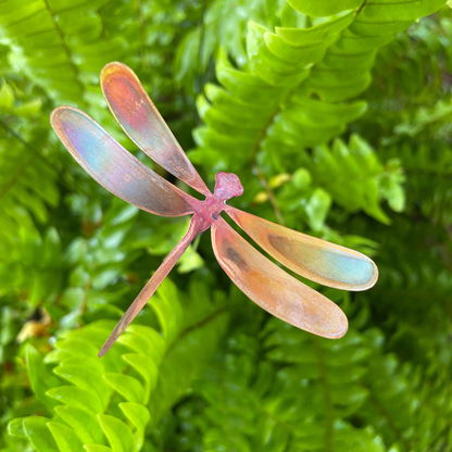Medium Natural Copper Dragonfly
