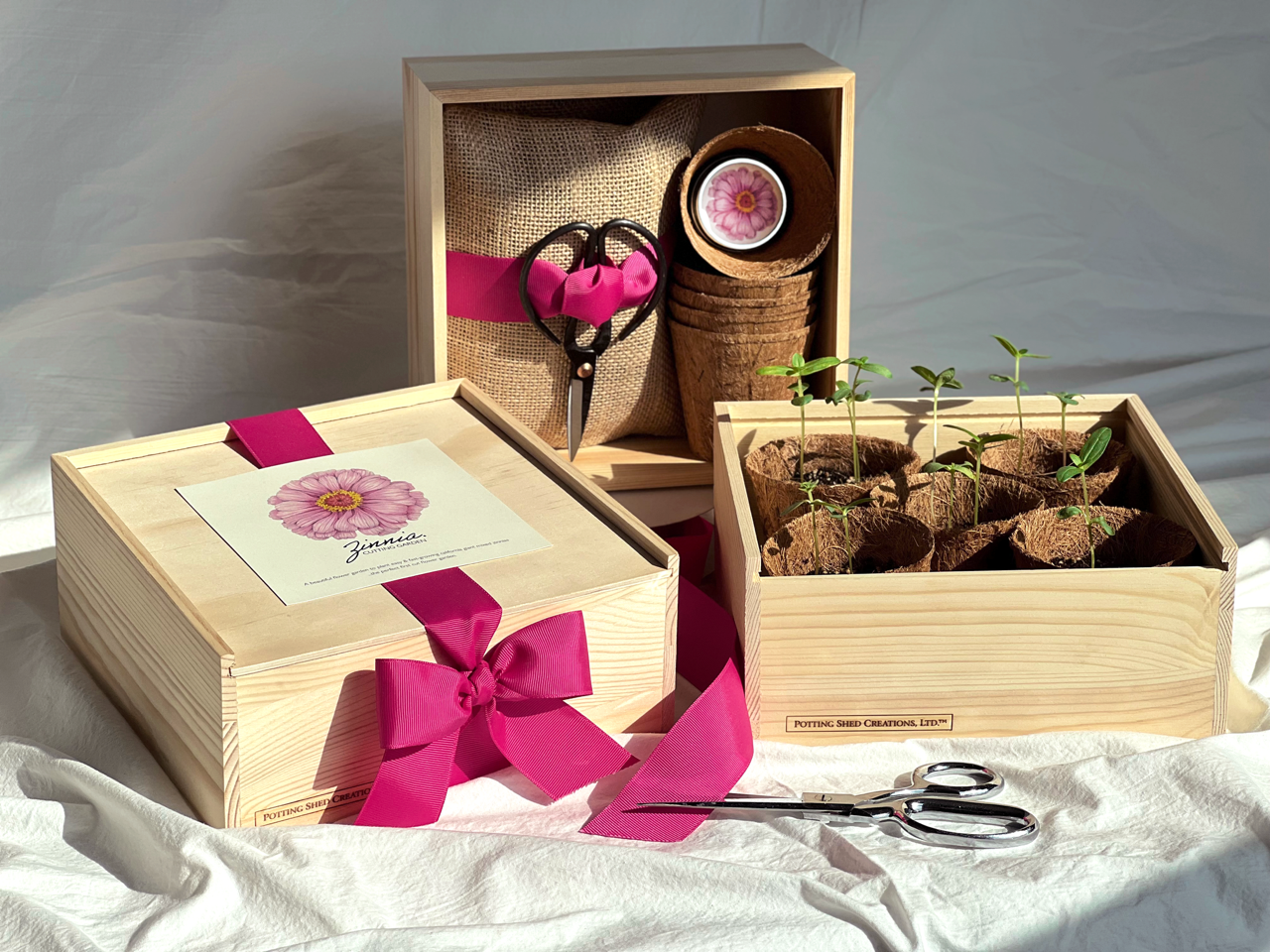 Culinary Herb Garden Box | Holiday Gift for Gardeners