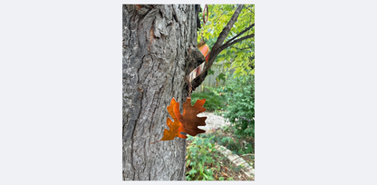Natural Copper Leaf Spinner