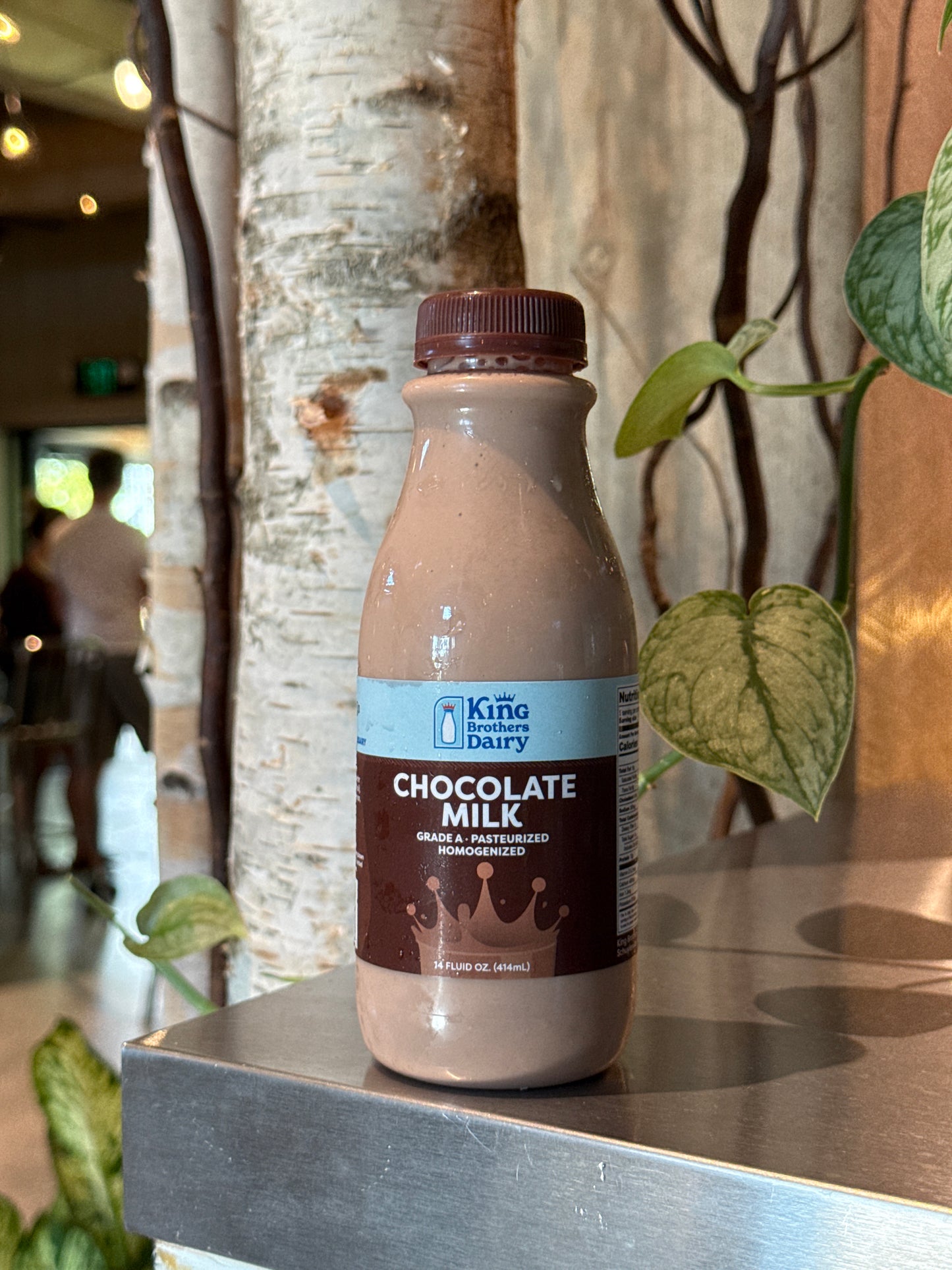 Chocolate milk – King Brother Dairy ￼