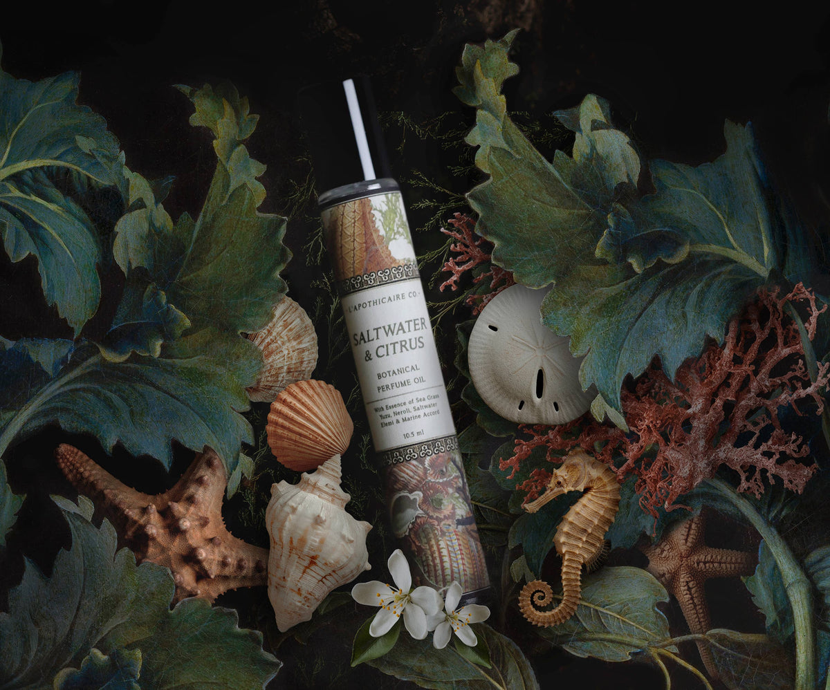 BOTANICA | Saltwater + Citrus | Perfume Oil