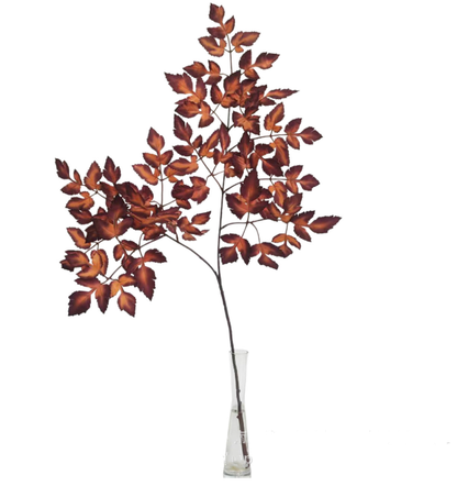Plum Fake Cimicifuga Ramosa Leaves Branches