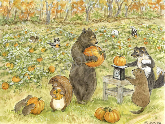 #360 - Pumpkin Patch Notecard