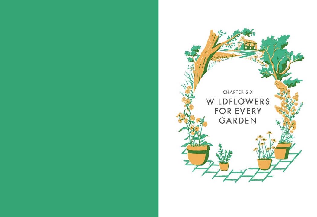 Planting Wildflowers