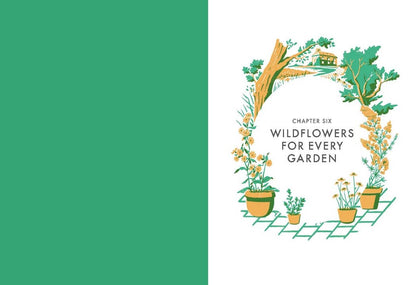 Planting Wildflowers